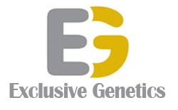 ExclusiveGenetics.com